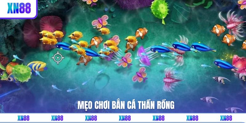 Bí kíp săn mồi hiệu quả cùng các chuyên gia