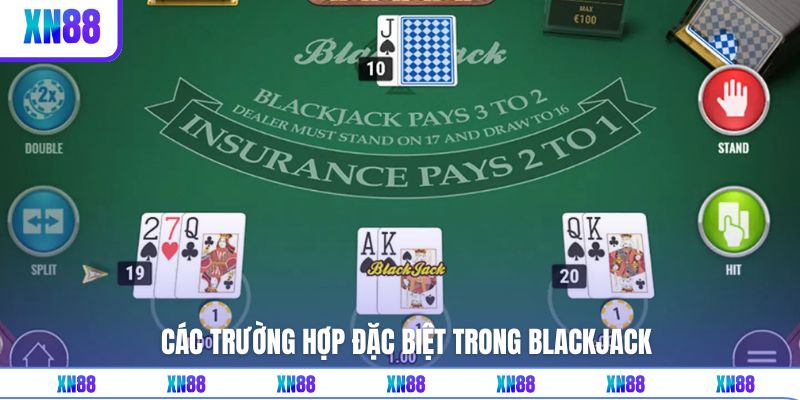 Cách chơi Blackjack thế nào cùng những trường hợp đặc biệt
