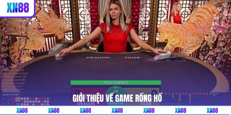 Nội dung sơ lược về trò chơi Rồng Hổ